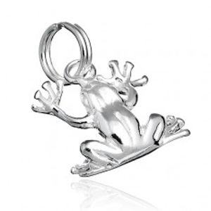 Přívěsek ze stříbra 925 - lesklá žába