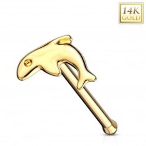 Rovný piercing do nosu ve žlutém zlatě 585 - malý lesklý delfín GG220.01